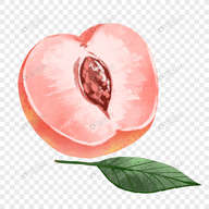 麻豆传媒APP应用