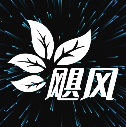 小米视频下载APP应用