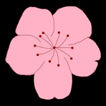 WWW,hhh90·COM网站APP最新版